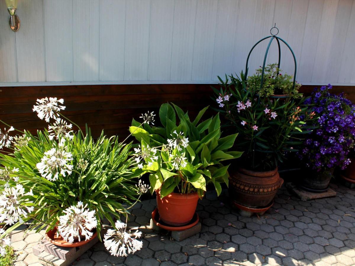 Pretty Bungalow In Neubukow With Garden, Roof מראה חיצוני תמונה